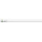 Philips MASTER LED Tube T8 (EM/Mains) Ultra Efficiency 17.6W 3700lm - 865 Daylight | 150cm - Replaces 58W